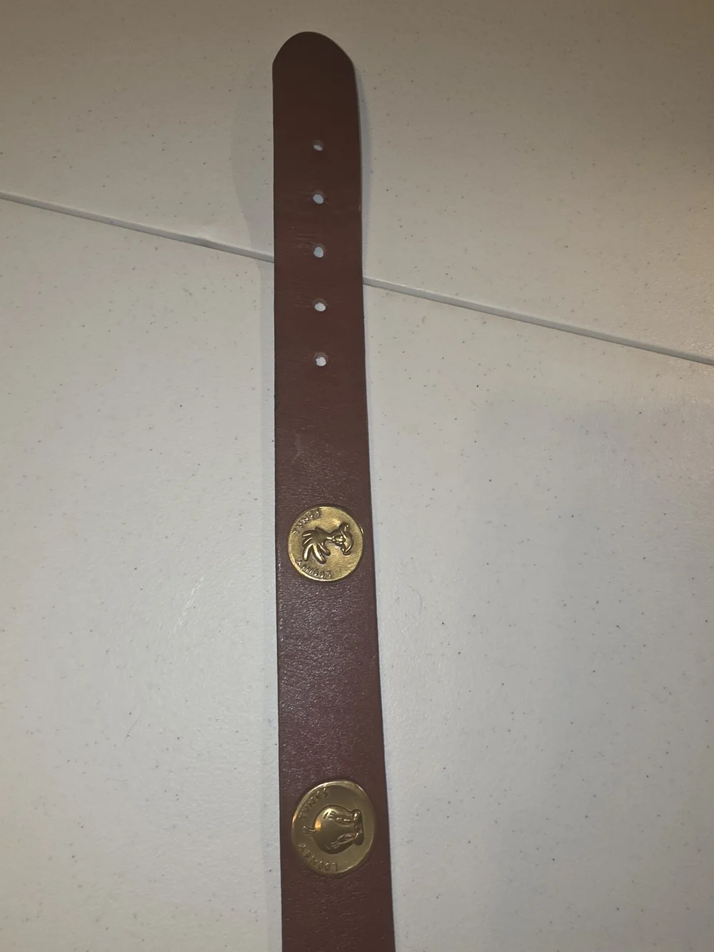 Warner Brthers Brown Leather Men's Belt with Gold Coin Accents